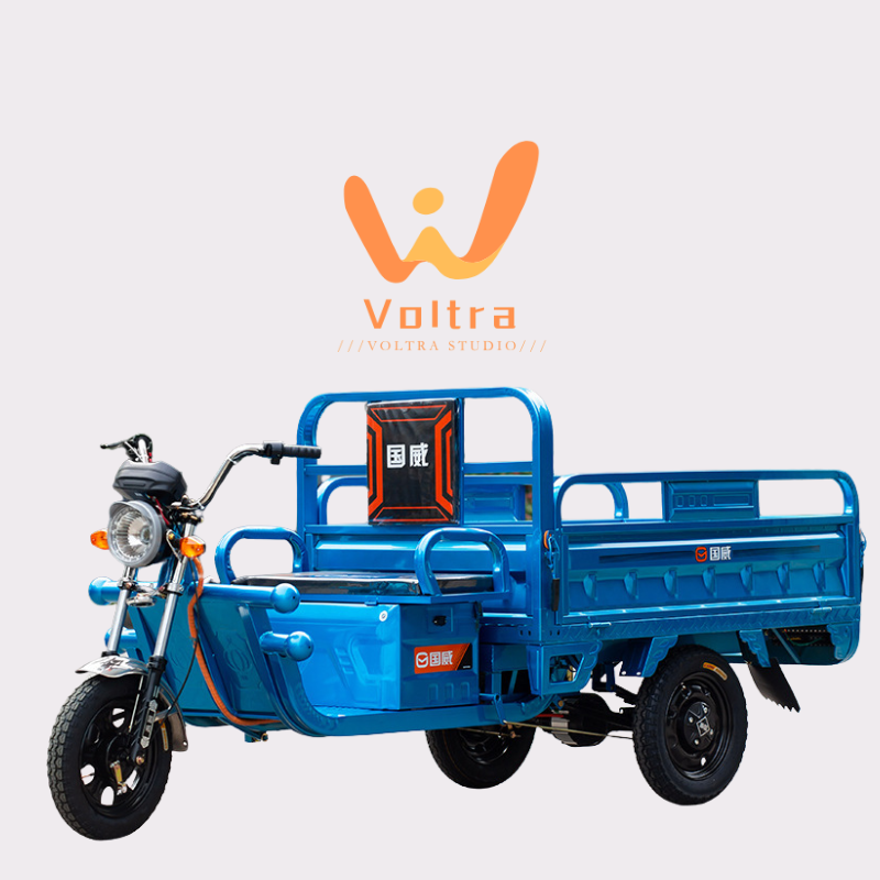 S1 Buy Premium Electric Tricycles for Adults: Eco-Friendly, Efficient & Comfortable Rides